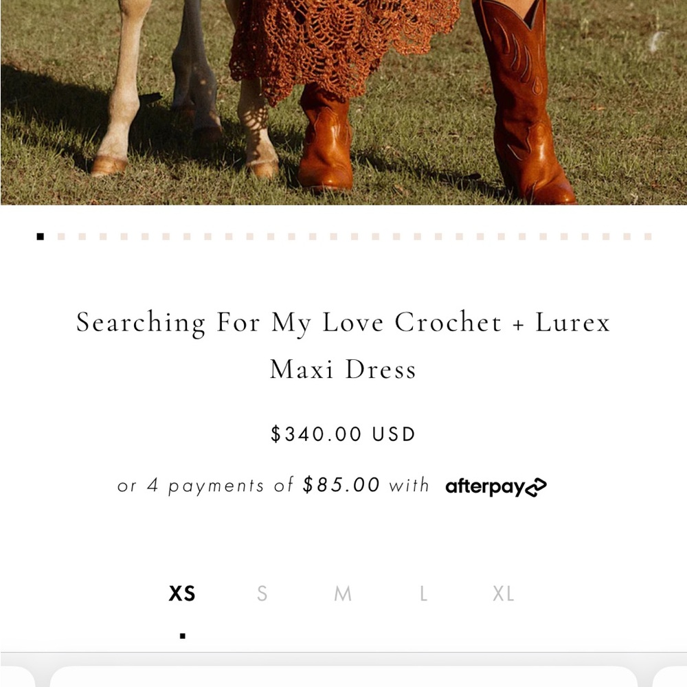 Chasing Unicorns Searching For My Love Crochet + Lurex Maxi Dress - Picture 15 of 15